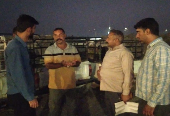 جیرفت